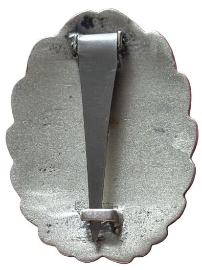 Fake Japanese    Pilot badge.jpg