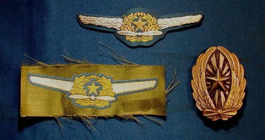 Fake Japanese Pilot Wings.jpg