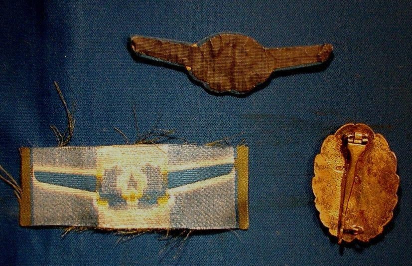 Fake Japanese  Pilot Wings.jpg