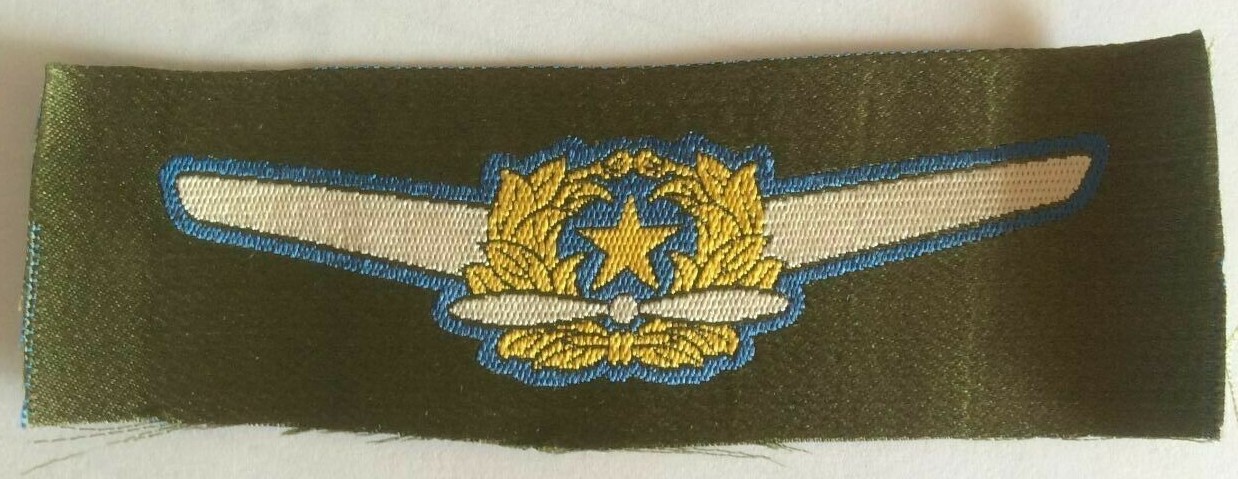 Fake Japanese   Pilot Wings.jpg