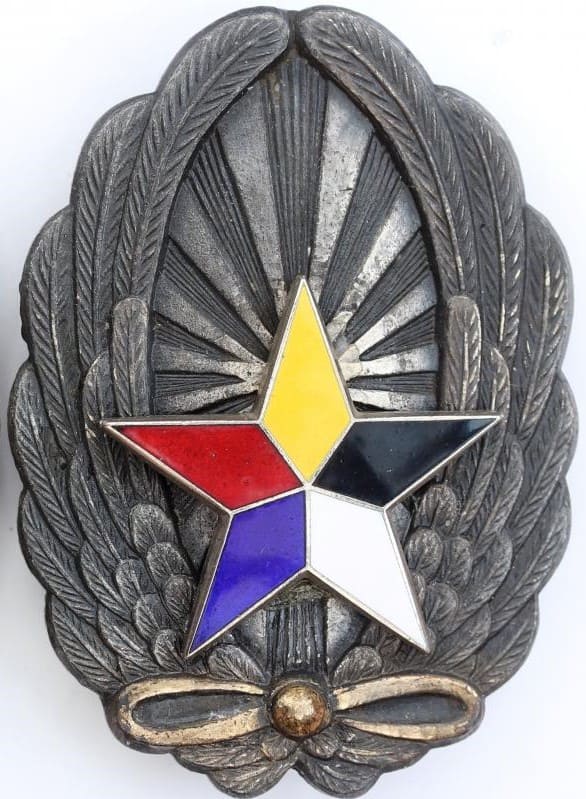 Fake Manchukuo Army Pilot Badge.jpg Fake Manchukuo Army Pilot Badge.jpg