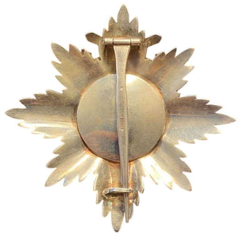 Fake Oldenburg  House Order Breast Star .jpg