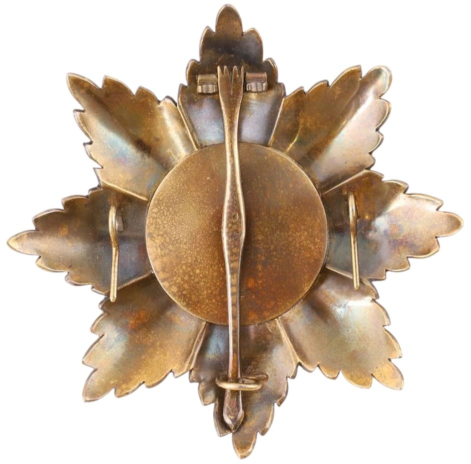 Fake Order of St. Andrew the First Called Breast  Star.jpeg