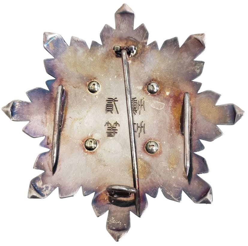 fake order of taeguk breast star.jpg