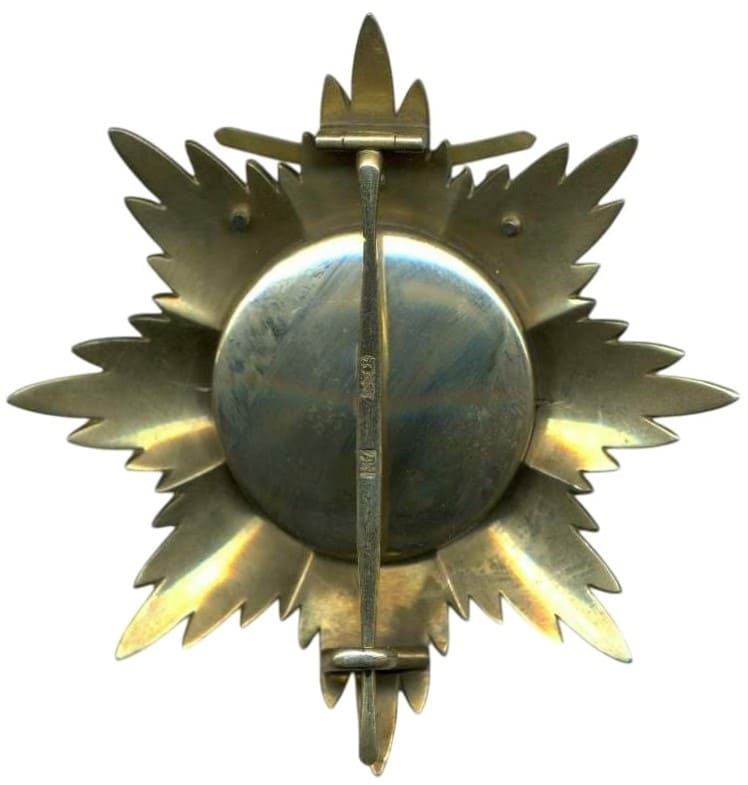 Fake Saint  Andrew order breast  star.jpg