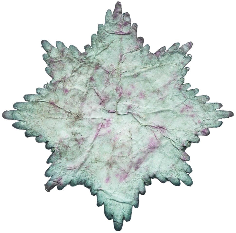 Fake St.Anne order breast star.jpg