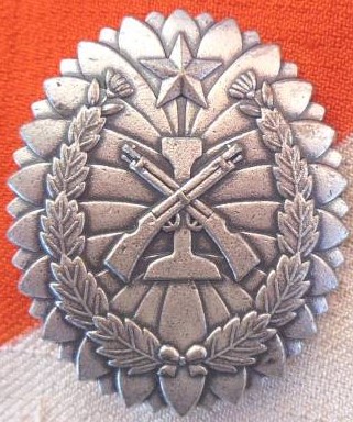Fakes of Independent Garrison Units Badge.jpg