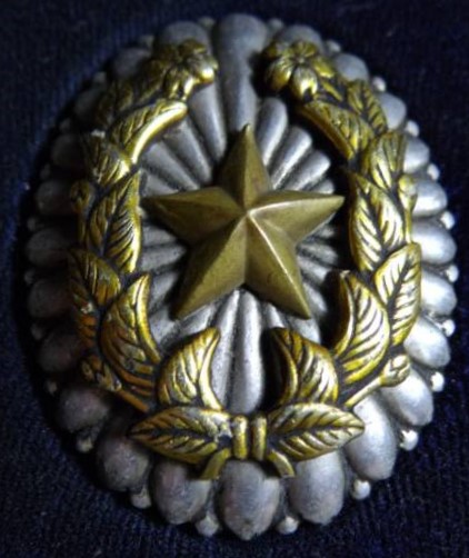 Field Officer's Badges-陸軍佐官隊長章.JPG