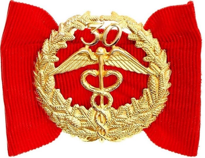 Finland Badge 30 Years of Excellent Service.jpg