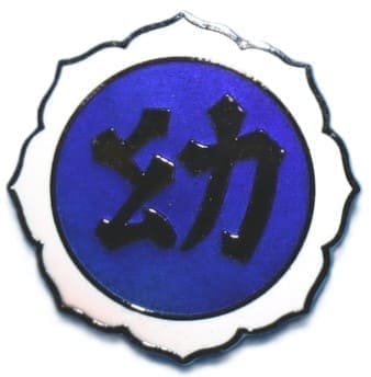 Fukushima Kindergarten Badge.jpg