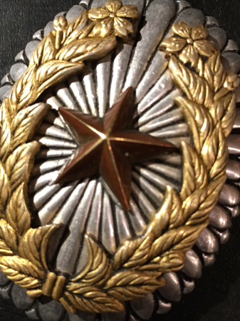 General Officer's Badge  -.jpg