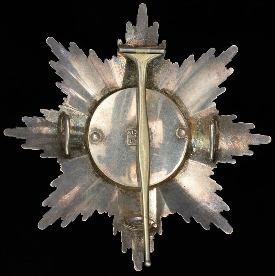 Godet-made breast star with a plain rays.jpg