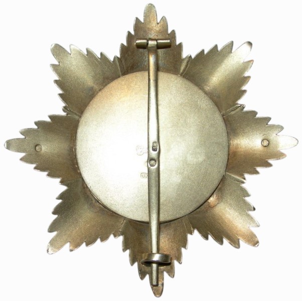 Gold breast star  of 3rd grade.jpg