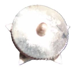 Great  Japan Chemical Defense Association Course Completion Badge.jpg