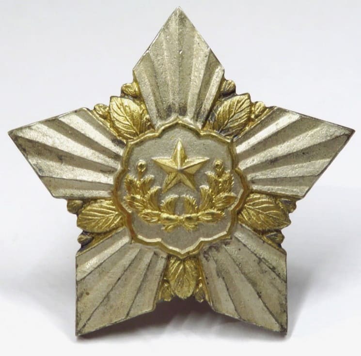 Guards Division Military Service Commemorative Badge.jpg