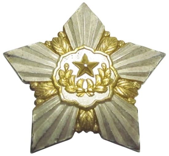 Guards Division Military Service Commemorative Badge.jpg