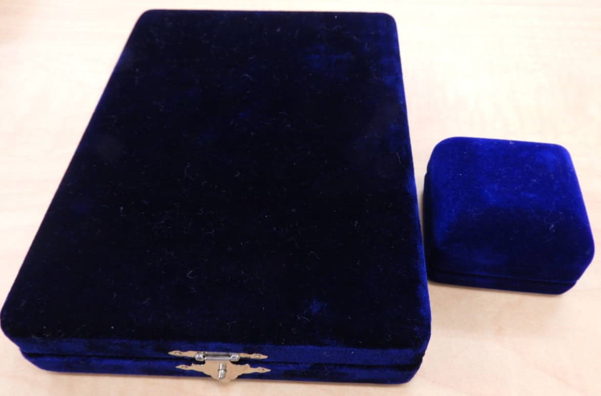 Hamamasu Village  Meritorious Service Award.jpg