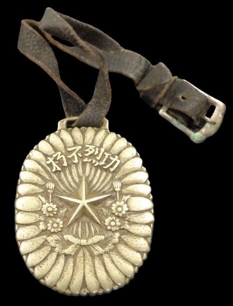 功烈不朽  Immortal Meritorious Service Badge.jpg