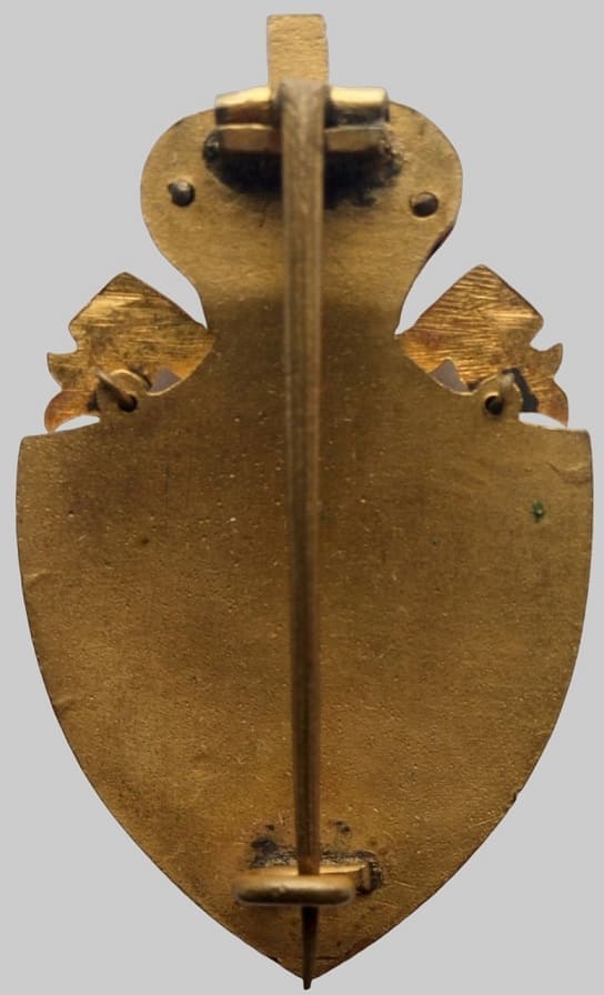 Imperial Russian Red Cross  Society Badge made in Gilded Bronze.jpg