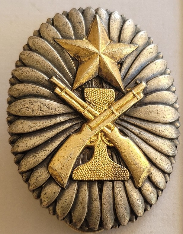 Independent Garrison Unit Subjugation of Bandits Commemorative Badge 獨立守備隊討伐紀念章.jpg