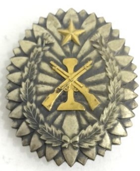 Independent Garrison Units Commemorative Badge.jpg