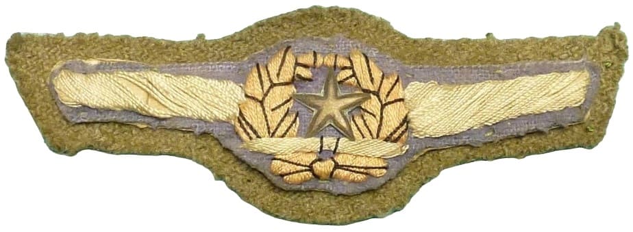 Japanese Air Force Breast Badge Fake .jpg
