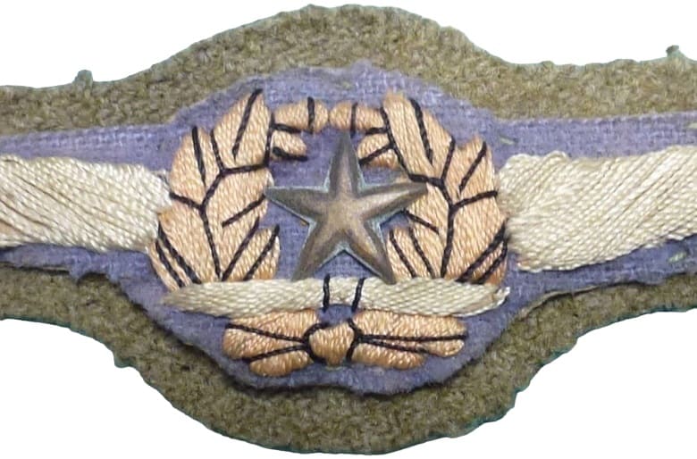Japanese  Air Force Breast Badge Fake.jpg