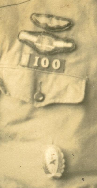 Japanese Army Pilot Badge in  Photo.jpg