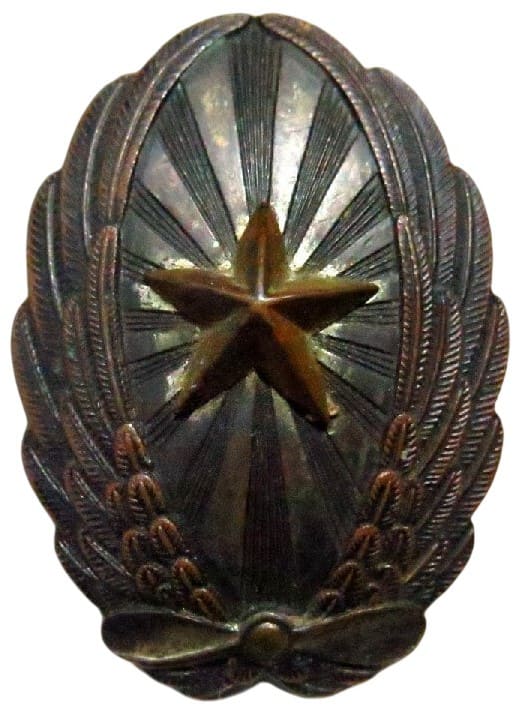 Japanese Army Pilot Badge.jpg
