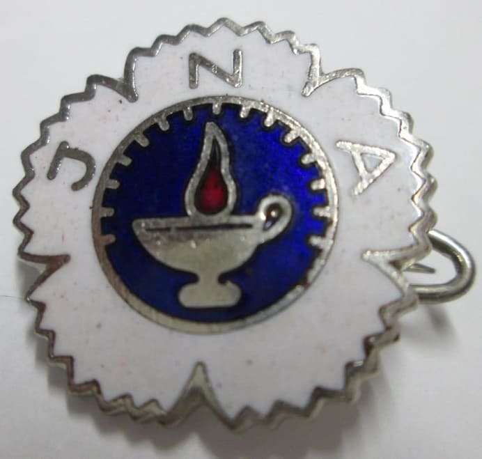 Japanese Nursing Association Badge 日本看護協会章.jpg