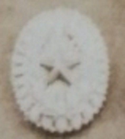 Japanese Officer with Commanding Officer's Badge-.jpg