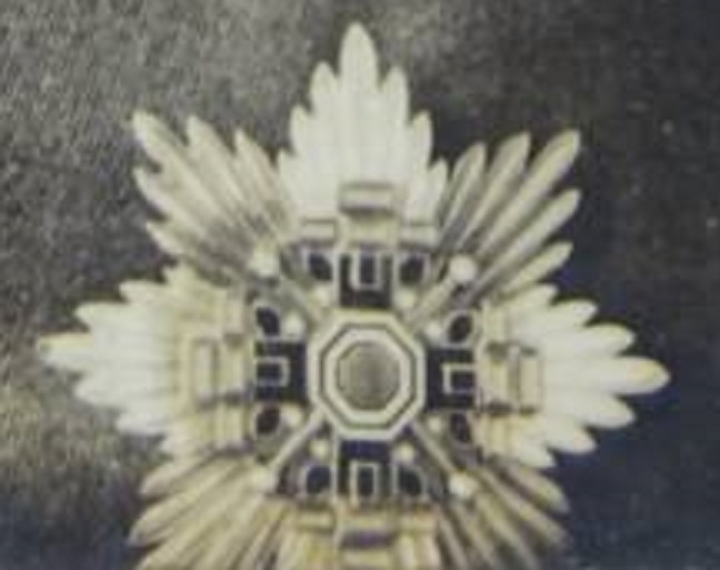 Japanese Officer with Pillars of the State breast star.jpg