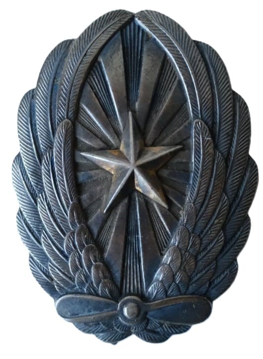 Japanese Officer's Pilot Badge  Made in Silver.jpg