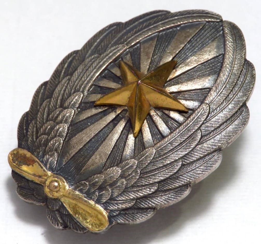 Japanese Pilot Badge  in Silver.jpg