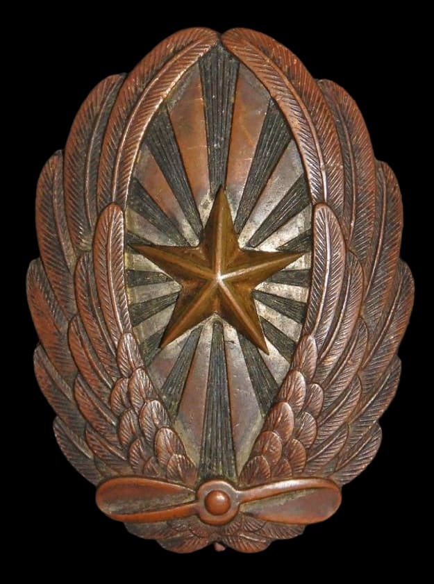 Japanese Pilot Badge.jpg