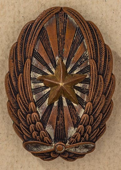 Japanese Pilot Badge.jpg