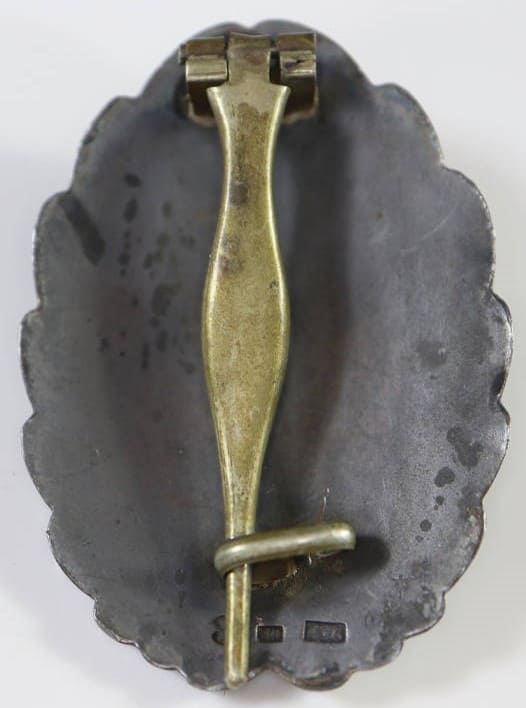 Japanese Pilot  badge.jpg