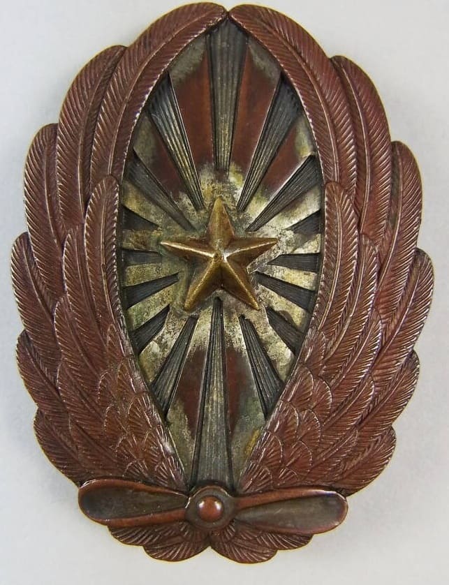 Japanese Pilot Badge.jpg