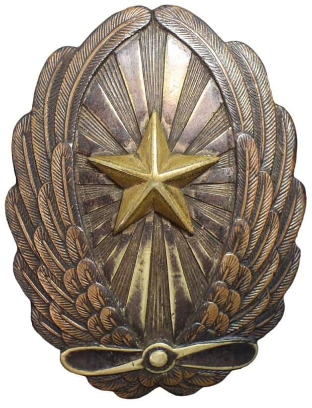 Japanese Pilot Badge.jpg