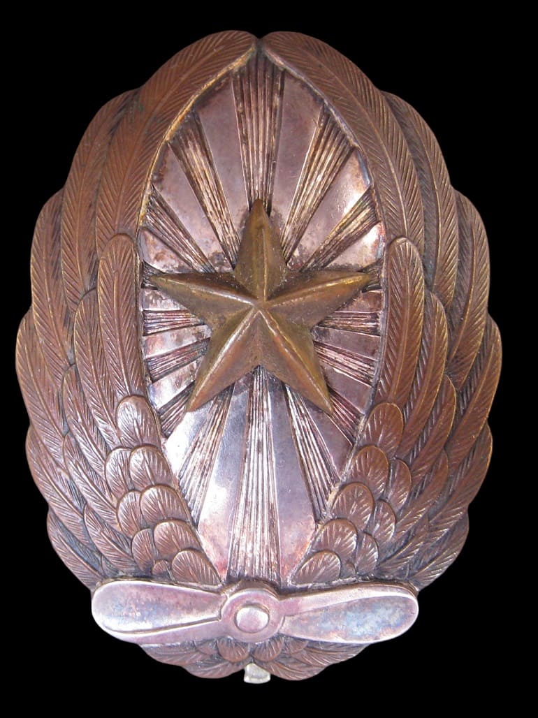 陸軍飛行機操縦徽章 | Medals of Asia