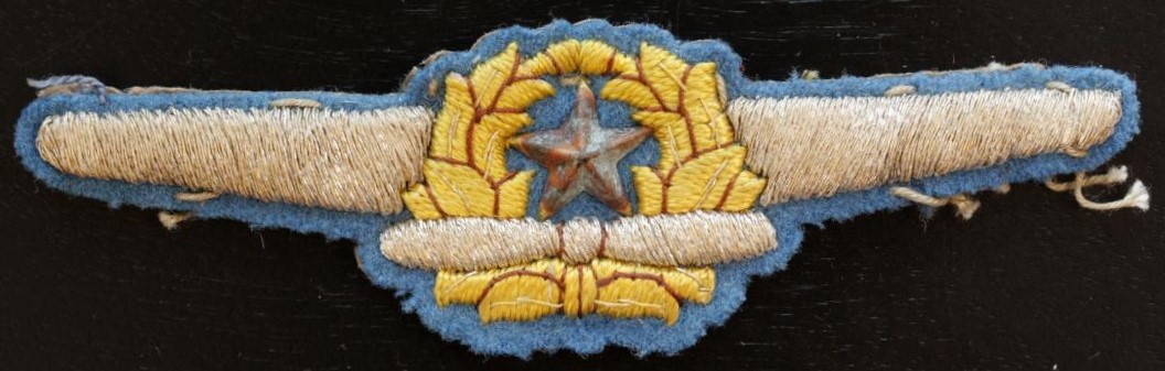 Japanese Pilot Wing.jpg