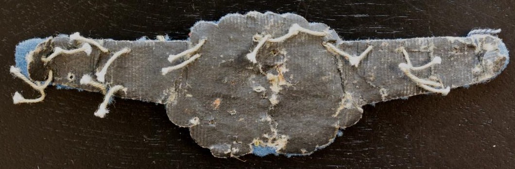 Japanese Pilot  Wing.jpg