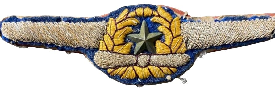 Japanese  Pilot Wings .jpg