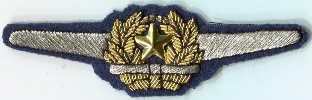 Japanese Pilot Wings Naive Fake.jpg