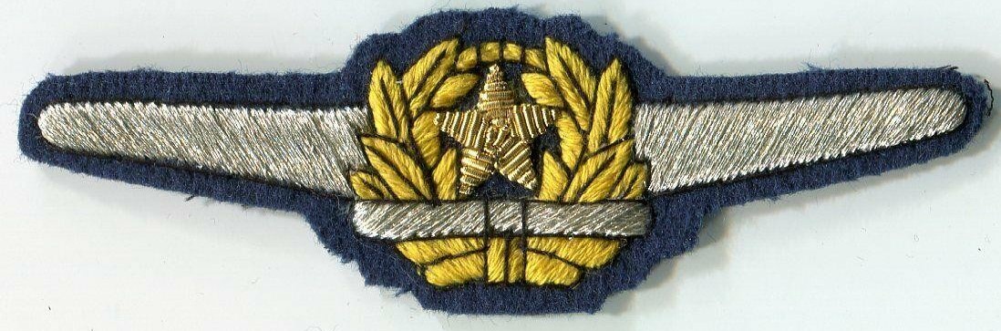 Japanese Pilot Wings Naive  Fake.jpg