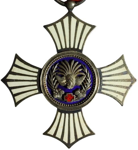 Japanese Red Cross order .jpg