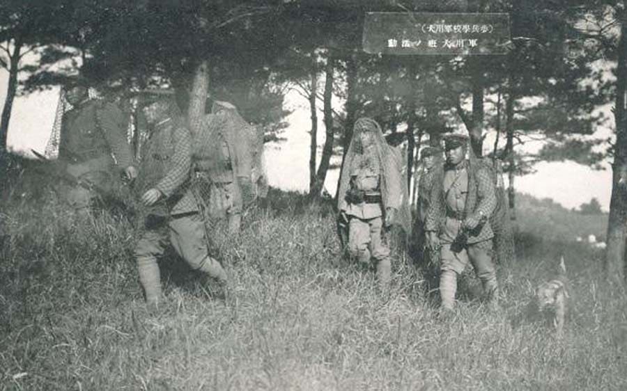 Japanese Soldiers in Disguise  Camouflage.jpg