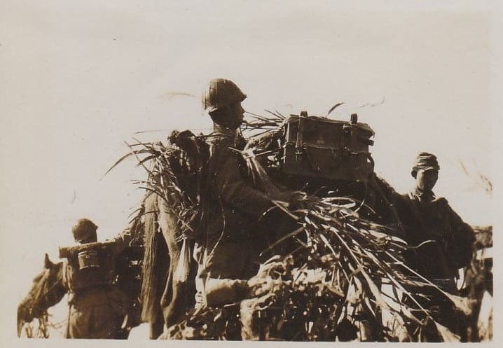 Japanese Soldiers  in Disguise Camouflage.jpg