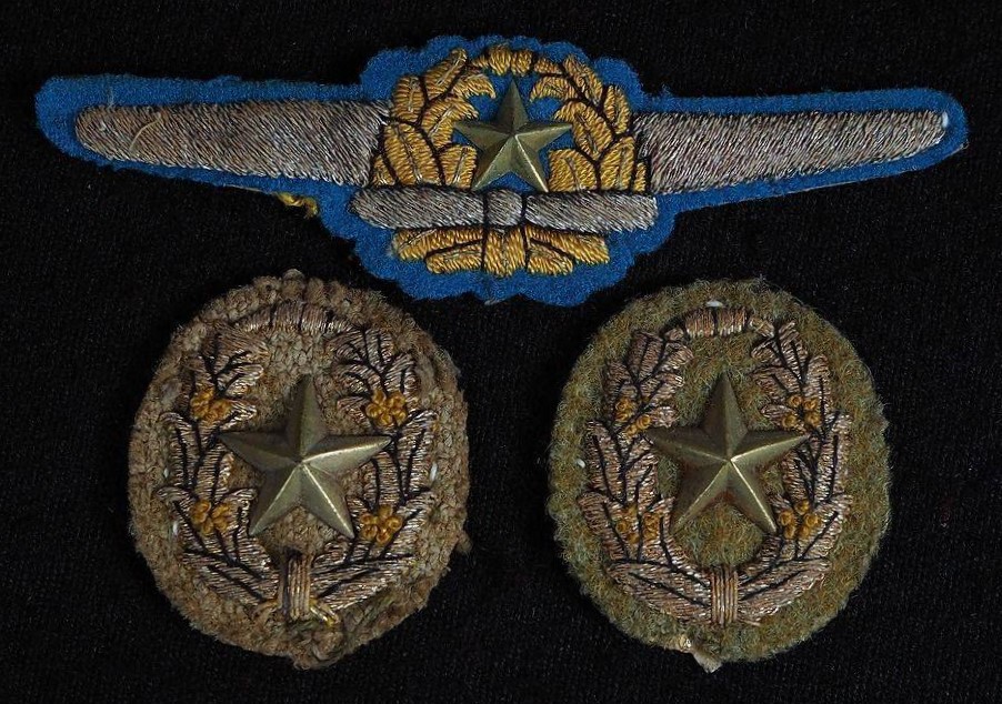 航空胸章 (航空用特別胸章).jpg