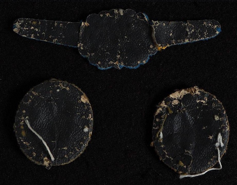 航空胸章  (航空用特別胸章).jpg